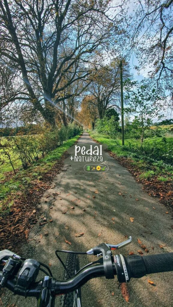 SaveTik.co_7466069930073525510_5